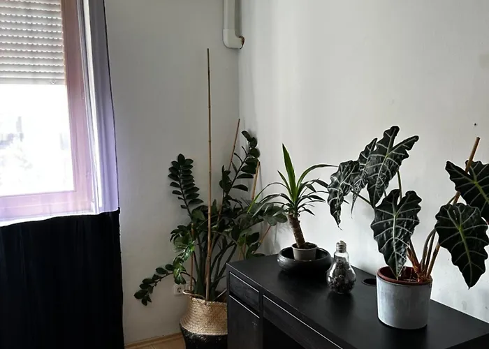 Center Apartment Gyor